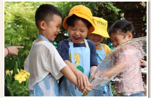 自然園藝視角下的節氣教育 幼兒園里的夏至可以這樣玩