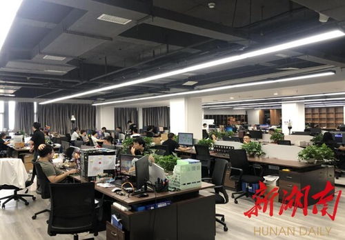 衡陽(yáng)崛起數(shù)字經(jīng)濟(jì)新高地 物聯(lián)網(wǎng)應(yīng)用服務(wù)驅(qū)動(dòng)城市轉(zhuǎn)型